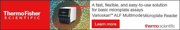 Leadboard Ad Pane