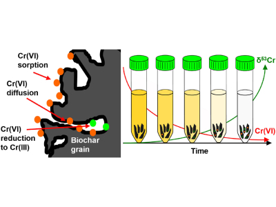 Biochar Proved Effective for Converting Toxic Heavy Metal Into a Harmless Form