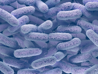 Drug Candidates Show Promise in Treating Antibiotic-Resistant Bacteria