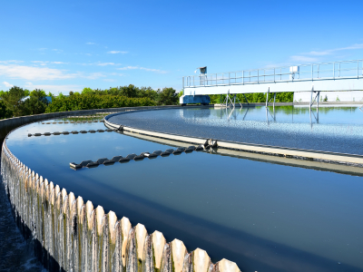 Microplastics Continue to Slip Through Wastewater Treatment Plants Carrying Pollutants Such as PFAS