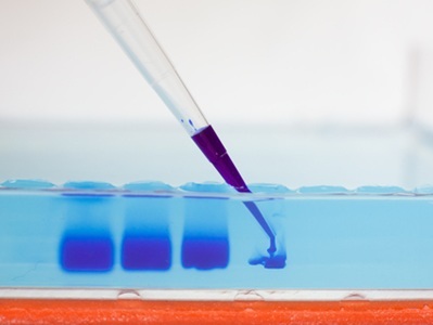 Speeding Up Analysis of Gel Electrophoresis Data