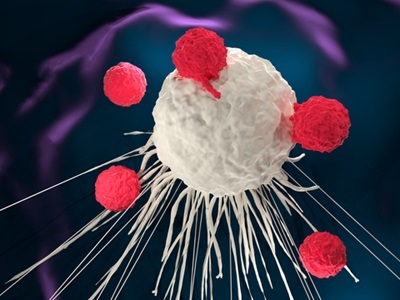 Maintaining Metabolic Fitness for Better Cell Therapy Outcomes