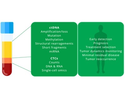 Advancing Cancer Research through Liquid Biopsy