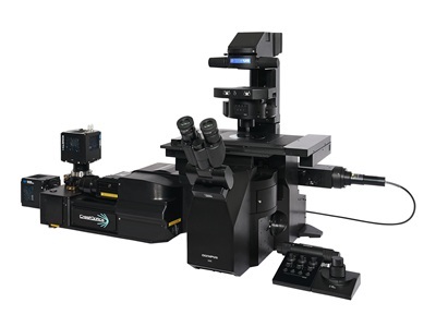 Spinning Disk Confocal Microscopes Expand Research Possibilities