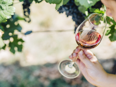 Food Scientists Develop New Mass Spec Method to Better Explain Perceived Taste