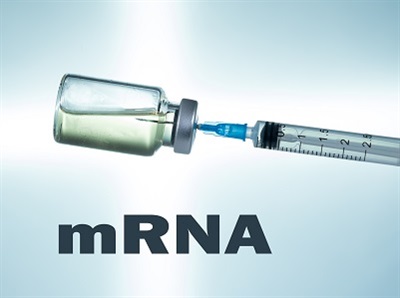 Q&A: The Future of mRNA Technology Amid Funding Cuts