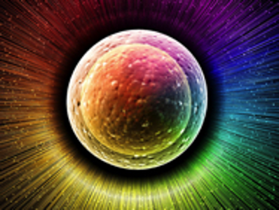 Flow Cytometry Protocols