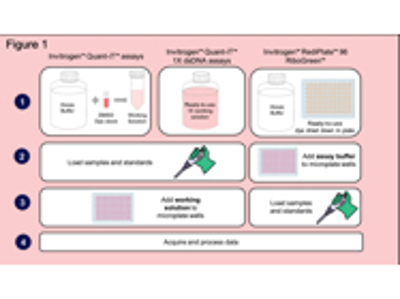 Reliable Nucleic Acid Characterization for High-Throughput Workflows