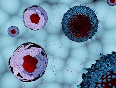 High Purity Exosome Standards Enhance Reproducibility