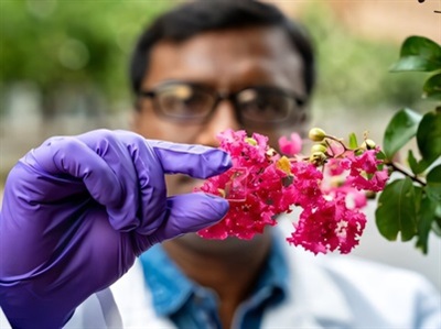 New Boron Nitride Coating for Glass Shows Extreme Energy Savings