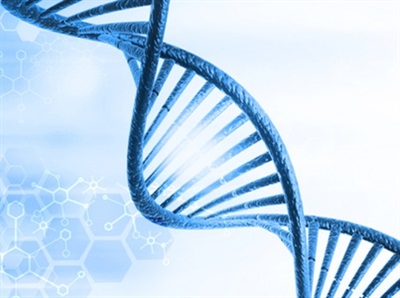 The Past, Present and Future of Molecular Medicine
