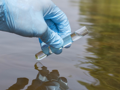 Ultrasound System Removes 94% of BPA From Water Without Additional Chemicals