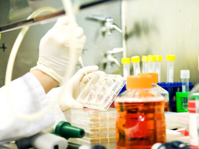 Organic Metal-Free Sensor Provides Highly Sensitive Oxygen Detection