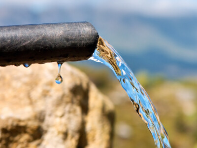 Study Discovers Common Bacterium Capable of Absorbing PFOA