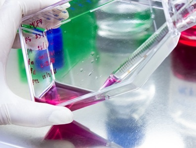  Scalable Multiomic Workflows Accelerate Sample Prep Efficiency