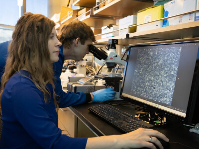 Synthesized Fish Protein Prevents Food and Drugs From Freezing