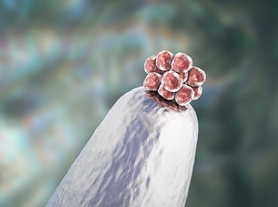 Report: CRISPR-Cas9 Not Ready to Be Used in Humans; First Target Would be Single Gene Diseases