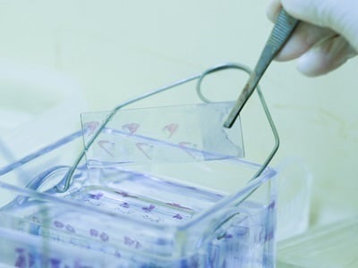 Is it Ethical for Police to Seize Your Biomedical Research Samples?