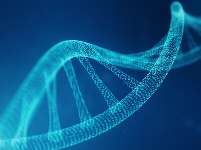  Publicly Available Tool Offers Clearest Look at Cellular RNA