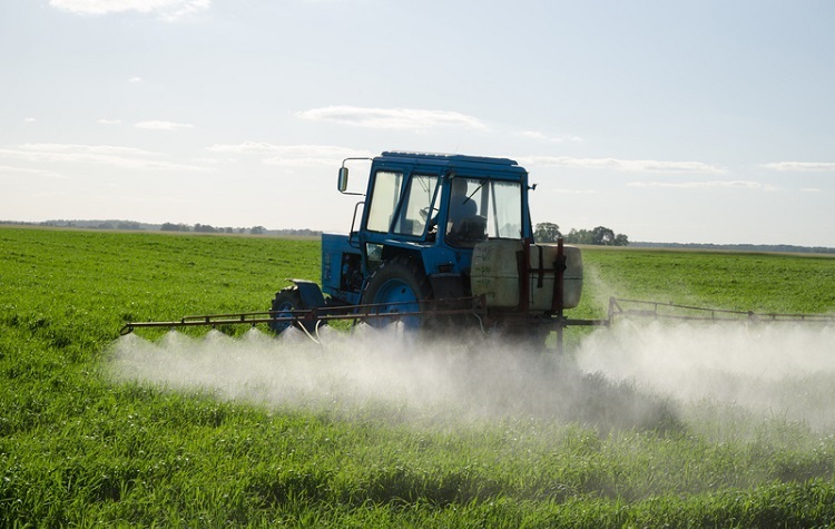 Study: Roundup is Toxic at Levels 300x Less than Common Exposure