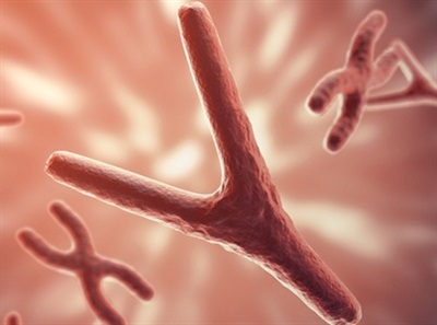 Addressing the Disconnect Between R&D and Manufacturing for Cell Therapies