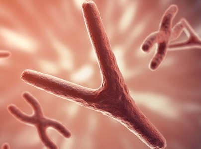  Addressing the Disconnect Between R&D and Manufacturing for Cell Therapies