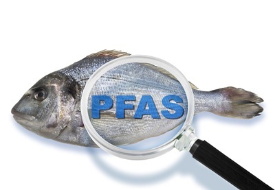  Resolving Top Pain Points in Environmental, PFAS Analysis