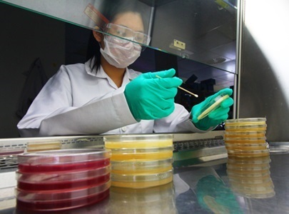 Scientists: We Need to Address Fungal Resistance, Too