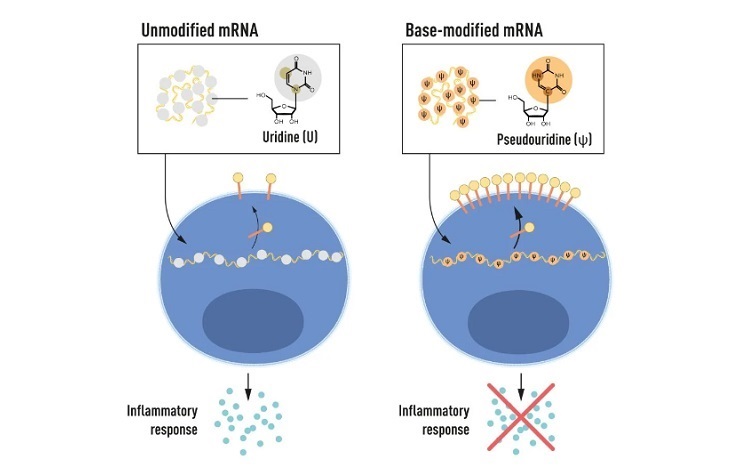 622610.jpg