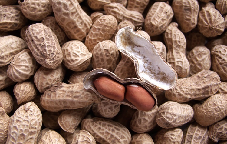 FDA Approves First Medication to Help Reduce Allergic Reactions