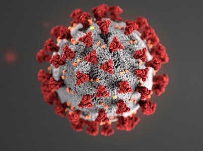 Roundup: The Most Promising COVID-19 Vaccine Efforts