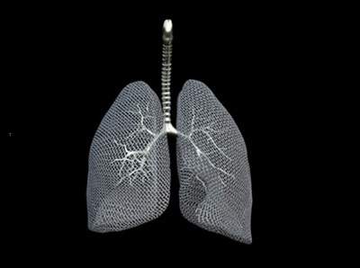 Lung Organoids Made in Bulk Could be Game Changers for Personalized Medicine