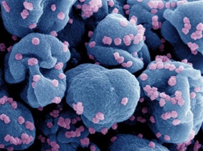 Old Molecules Show Promise against SARS-CoV-2 Mutations