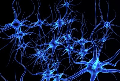 NU-9 Halts Alzheimer’s in Animal Model before Symptoms Begin