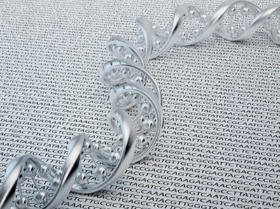 Enhancing Stem Cell Transplants with Next-generation HLA Typing