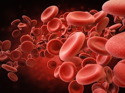 Extreme Running May Accelerate Aging, Breakdown of Red Blood Cells