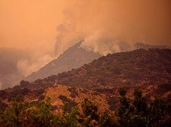 Canadian Drinking Water at Risk 10 Years after a Wildfire