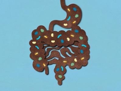 Gut Microbiome Linked to Heart Disease Precursor
