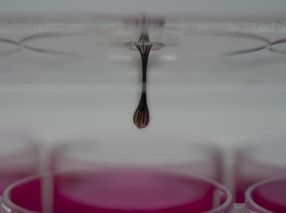 624970.jpg