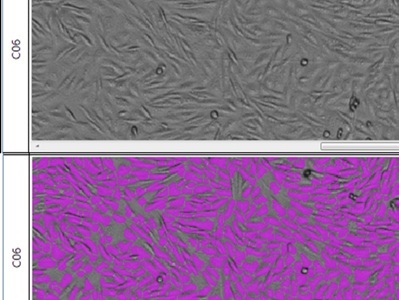 Imaging is Evolving to Meet Compliance Demands in QC Labs