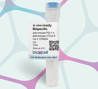 Anti-mouse Bispecific Antibodies for Preclincial Research