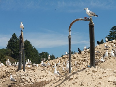 Global Urban Methane Emissions Growing More than Estimated