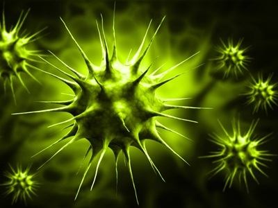 Targeting Specific Regions of the Flu Protein Strengthens Immunity