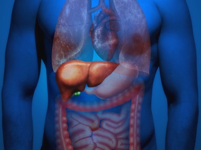 Are Plastic Microparticles to Fault for Rise in Liver Disease?