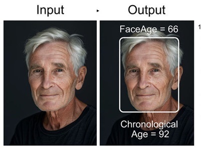625406.jpg