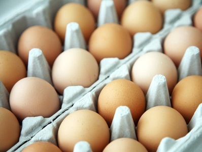  New Study Links Eggs to Lower Risk of Alzheimer’s in Elderly