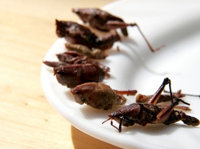 As the Food Supply Changes, Bugs may be Reconsidered
