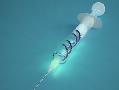Gene Therapy Reverses Fragile X Deficits in Mice