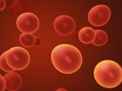 A First: Precision Editing to Study Embryo Development Reveals ‘Master Gene’
