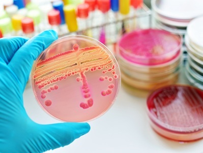  How a Hospital Superbug Rose to Global Dominance